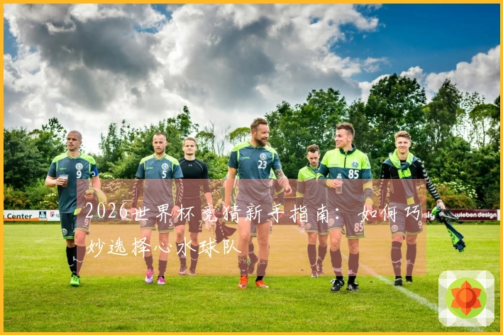 2026世界杯竞猜新手指南：如何巧妙选择心水球队