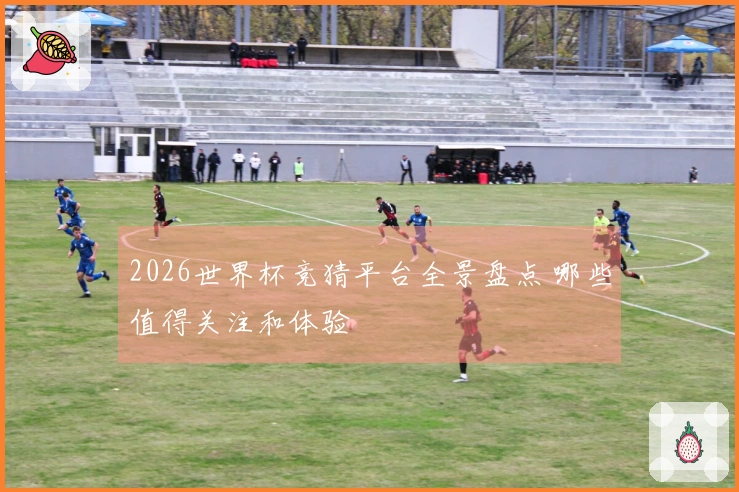 2026世界杯竞猜平台全景盘点 哪些值得关注和体验