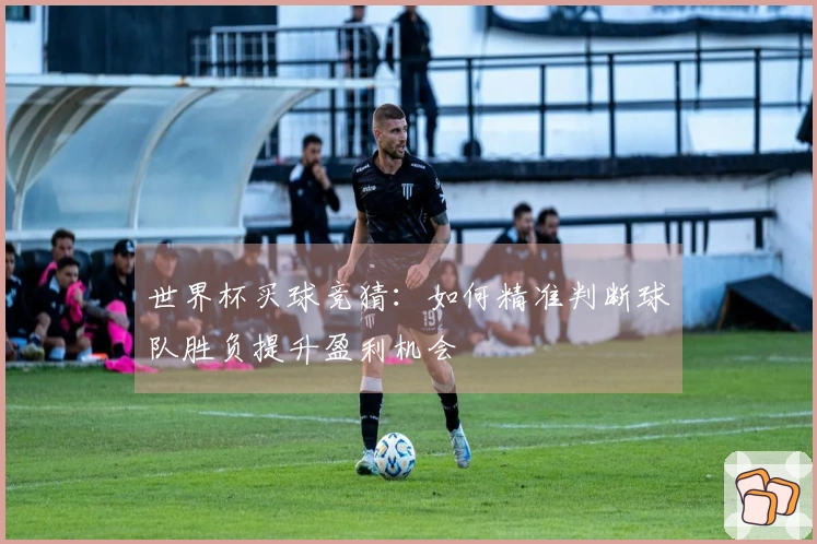 世界杯买球竞猜：如何精准判断球队胜负提升盈利机会