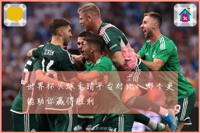 世界杯买球竞猜平台对比，哪个更能助你赢得胜利
