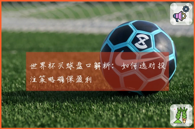 世界杯买球盘口解析：如何选对投注策略确保盈利