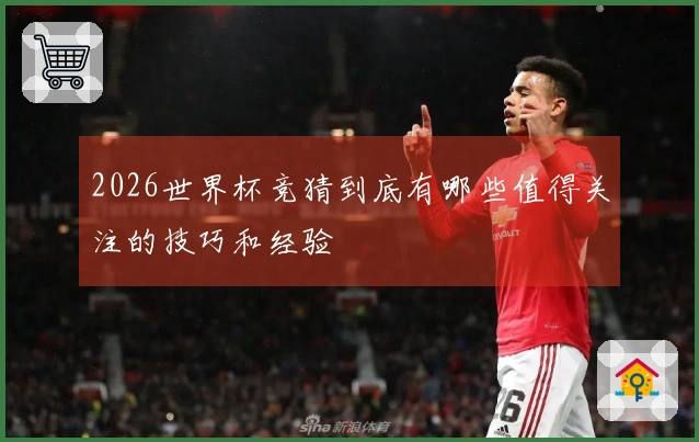 2026世界杯竞猜到底有哪些值得关注的技巧和经验