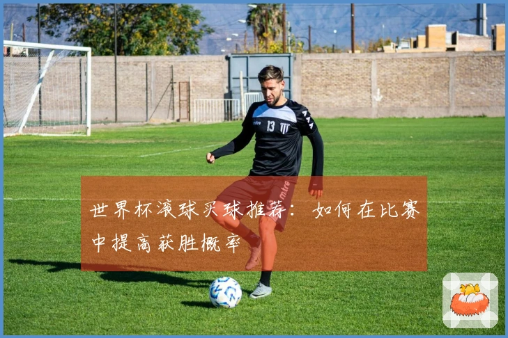 世界杯滚球买球推荐：如何在比赛中提高获胜概率