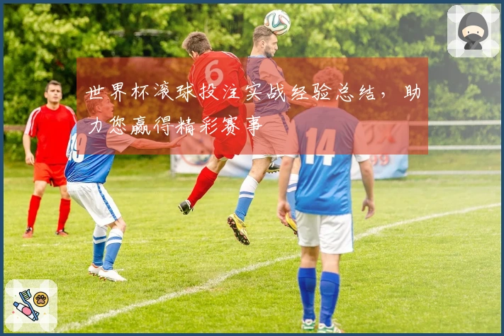 世界杯滚球投注实战经验总结，助力您赢得精彩赛事