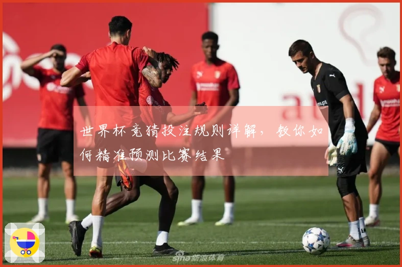 世界杯竞猜投注规则详解，教你如何精准预测比赛结果