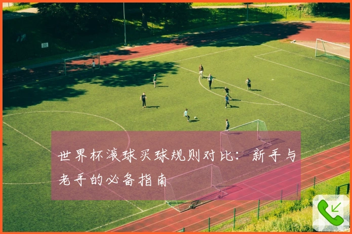 世界杯滚球买球规则对比：新手与老手的必备指南