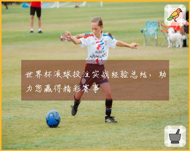 世界杯滚球投注实战经验总结，助力您赢得精彩赛事