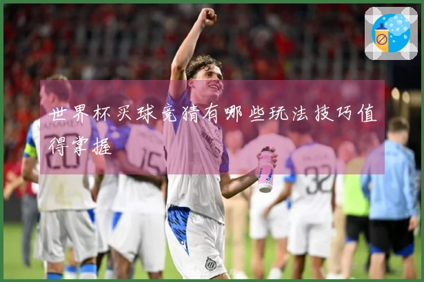 世界杯买球竞猜有哪些玩法技巧值得掌握