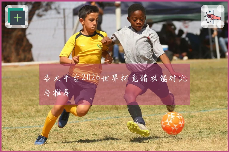 各大平台2026世界杯竞猜功能对比与推荐