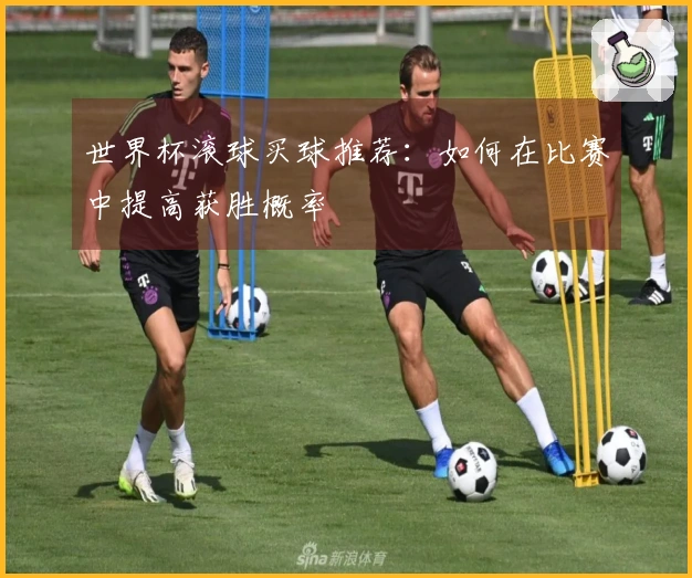 世界杯滚球买球推荐：如何在比赛中提高获胜概率