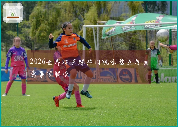 2026世界杯买球热门玩法盘点与注意事项解读