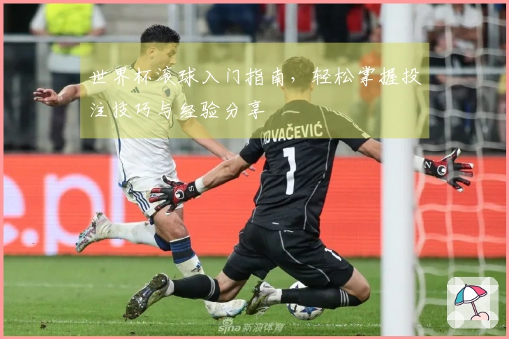 世界杯滚球入门指南，轻松掌握投注技巧与经验分享