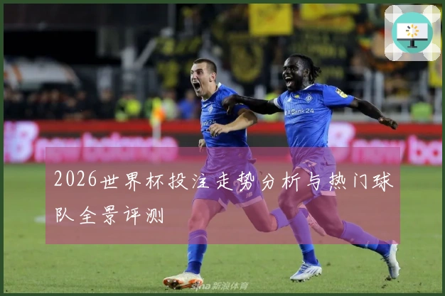 2026世界杯投注走势分析与热门球队全景评测