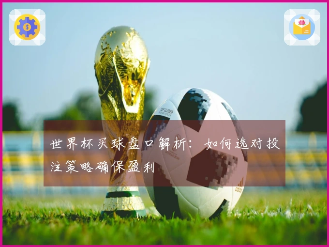 世界杯买球盘口解析：如何选对投注策略确保盈利